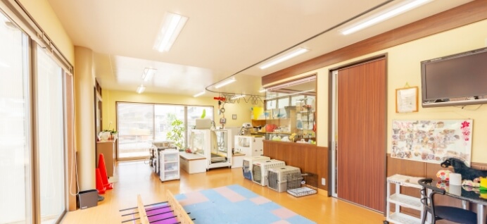 九州でも数少ない、動物理学療法士が在籍しているリハビリセンターを完備