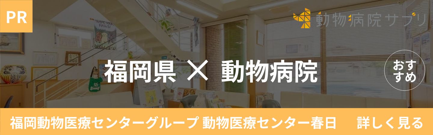 福岡県×動物病院 おすすめ 福岡動物医療センターグループ 動物医療センター春日